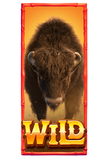 - รูปสัญลักษณ์ WILD เกม Buffalo win