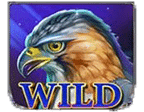 - รูปสัญลักษณ์ WILD เกม Lady Hawk