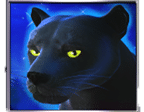 - รูปสัญลักษณ์ WILD เกม Panther Moon