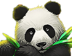 - สัญลักษณ์พิเศษ แพนด้า ของเกม Lucky Panda