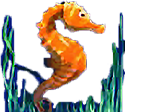 - รูปสัญลักษณ์ ม้าน้ำสีส้ม ของเกม Dolphin is Pearl Deluxe