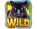- รูปสัญลักษณ์ WILD ของเกม Wild Fairies