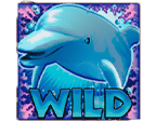 - สัญลักษณ์ WILD เกม Dolphin Reef