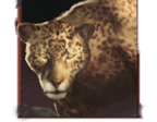 - สัญลักษณ์พิเศษ เสือดาว เกม Big Game Safari