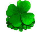 - รูปสัญลักษณ์ ใบโคลเวอร์สีเขียว ของเกม Lucky Lady Charm