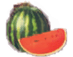 - รูปสัญลักษณ์ Watermelon ของเกม Tropical Crush