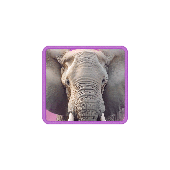 - รูปสัญลักษณ์ ช้าง ของเกม Safari Wilds