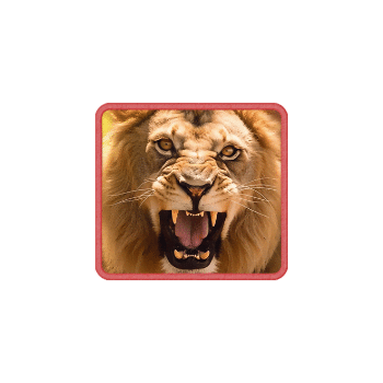 - สัญลักษณ์พิเศษ สิงโต ของเกม Safari Wilds