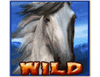 - รูปสัญลักษณ์ WILD ของเกม Wild Spirit