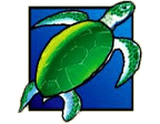 - สัญลักษณ์พิเศษ เต่าสีเขียว เกม Dolphin Treasure