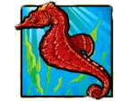 - รูปสัญลักษณ์ ม้าน้ำสีแดง เกม Dolphin Treasure
